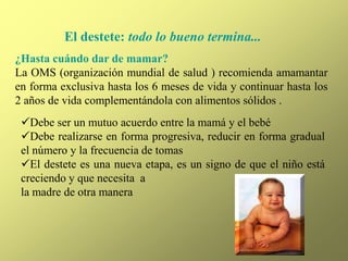 El destete: todo lo bueno termina...
¿Hasta cuándo dar de mamar?
La OMS (organización mundial de salud ) recomienda amamantar
en forma exclusiva hasta los 6 meses de vida y continuar hasta los
2 años de vida complementándola con alimentos sólidos .
Debe ser un mutuo acuerdo entre la mamá y el bebé
Debe realizarse en forma progresiva, reducir en forma gradual
el número y la frecuencia de tomas
El destete es una nueva etapa, es un signo de que el niño está
creciendo y que necesita a
la madre de otra manera
 
