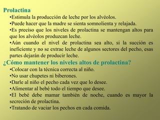 Prolactina
•Estimula la producción de leche por los alvéolos.
•Puede hacer que la madre se sienta somnolienta y relajada.
•Es preciso que los niveles de prolactina se mantengan altos para
que los alvéolos produzcan leche.
•Aún cuando el nivel de prolactina sea alto, si la succión es
ineficiente y no se extrae leche de algunos sectores del pecho, esas
partes dejarán de producir leche.
¿Cómo mantener los niveles altos de prolactina?
•Colocar con la técnica correcta al niño.
•No usar chupetes ni biberones.
•Darle al niño el pecho cada vez que lo desee.
•Alimentar al bebé todo el tiempo que desee.
•El bebé debe mamar también de noche, cuando es mayor la
secreción de prolactina.
•Tratando de vaciar los pechos en cada comida.
 