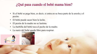 • Si el bebé se pega bien, es decir, si entra en su boca parte de la areola y el
pezón:
• El bebé puede sacar bien la leche.
• El pezón de la madre no se lastima.
• La barbilla del bebé toca el pecho de la madre.
• La nariz del bebé queda libre para respirar.
 