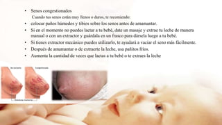• Senos congestionados
Cuando tus senos están muy llenos o duros, te recomiendo:
• colocar paños húmedos y tibios sobre los senos antes de amamantar.
• Si en el momento no puedes lactar a tu bebé, date un masaje y extrae tu leche de manera
manual o con un extractor y guárdala en un frasco para dársela luego a tu bebé.
• Si tienes extractor mecánico puedes utilizarlo, te ayudará a vaciar el seno más fácilmente.
• Después de amamantar o de extraerte la leche, usa pañitos fríos.
• Aumenta la cantidad de veces que lactas a tu bebé o te extraes la leche
 