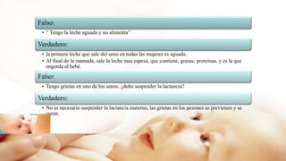 Falso:
• ” Tengo la leche aguada y no alimenta”
Verdadero:
• la primera leche que sale del seno en todas las mujeres es aguada.
• Al final de la mamada, sale la leche mas espesa, que contiene, grasas, proteínas, y es la que
engorda al bebé.
Falso:
• Tengo grietas en uno de los senos. ¿debo suspender la lactancia?
Verdadero:
• No es necesario suspender la lactancia materna, las grietas en los pezones se previenen y se
curan.
 