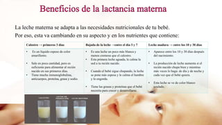 La leche materna se adapta a las necesidades nutricionales de tu bebé.
Por eso, esta va cambiando en su aspecto y en los nutrientes que contiene:
Calostro → primeros 3 días Bajada de la leche →entre el día 3 y 7 Leche madura → entre los 10 y 30 días
• Es un líquido espeso de color
amarillento.
• Sale en poca cantidad, pero es
suficiente para alimentar al recién
nacido en sus primeros días.
• Tiene mucha inmunoglobulina,
anticuerpos, proteína, grasa y sodio.
• Es una leche un poco más blanca y
menos cremosa que el calostro.
• Esta primera leche aguada, le calma la
sed a tu recién nacido.
• Cuando el bebé sigue chupando, la leche
se pone más espesa y le calma el hambre
y lo engorda.
• Tiene las grasas y proteínas que el bebé
necesita para crecer y desarrollarse.
• Aparece entre los 10 y 30 días después
del nacimiento.
• La producción de leche aumenta si el
recién nacido chupa bien y mientras
más veces lo haga: de día y de noche y
cada vez que el bebé quiera.
• Esta leche se ve de color blanco
azulado.
 
