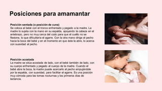 Posiciones para amamantar
Posición sentada (o posición de cuna)
Se coloca al bebé con el tronco enfrentado y pegado a la madre. La
madre lo sujeta con la mano en su espalda, apoyando la cabeza en el
antebrazo, pero no muy cerca del codo para que el cuello no se
flexione, lo que dificultaría el agarre. Con la otra mano dirige el pecho
hacia la boca del bebé y en el momento en que éste la abre, lo acerca
con suavidad al pecho.
Posición acostada
La madre se sitúa acostada de lado, con el bebé también de lado, con
su cuerpo enfrentado y pegado al cuerpo de la madre. Cuando el
bebé abra la boca, la madre puede acercarlo al pecho empujándole
por la espalda, con suavidad, para facilitar el agarre. Es una posición
muy cómoda para las tomas nocturnas y los primeros días de
lactancia.
 