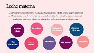 Celulas
vivas
Proteinas Factores de
creciemieto
vitaminas y
minerales
oligo
sacáridos
Acidos
grasos
Enzimas Hormonas
Anticuerpos
Leche materna
La leche de la madre es el alimento más adecuado y natural para el bebé durante los primeros meses
de vida y se adapta en cada momento a sus necesidades. Proporciona los nutrientes que necesita para
su adecuado crecimiento y desarrollo adaptándose perfectamente a su función digestiva..
 
