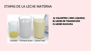 ETAPAS DE LA LECHE MATERNA
A) CALOSTRO ( ORO LIQUIDO)
B) LECHE DE TRANSICIÓN
C) LECHE MADURA
 