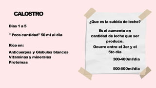 CALOSTRO
Dias 1 a 5
" Poca cantidad" 50 ml al dia
Rico en:
Anticuerpos y Globulos blancos
Vitaminas y minerales
Proteinas
¿Que es la subida de leche?
Es el aumento en
cantidad de leche que ser
produce.
Ocurre entre el 3er y el
5to dia
300-400ml/dia
500-800ml/dia
 