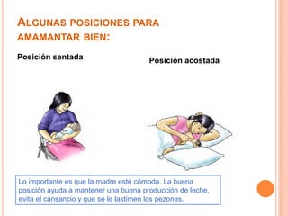ALGUNAS POSICIONES PARA 
AMAMANTAR BIEN: 
Posición sentada Posición acostada 
Lo importante es que la madre esté cómoda. La buena 
posición ayuda a mantener una buena producción de leche, 
evita el cansancio y que se le lastimen los pezones. 
 
