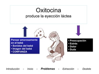 Oxitocina
                   produce la eyección láctea




    Pensar amorosamente                             • Preocupación
    en el bebé                                      • Estrés
    • Sonidos del bebé                              • Dolor
    • Imagen del bebé                               • Duda
    • CONFIANZA




Introducción   -   Inicio   -   Problemas   -   Extracción   -   Destete
 