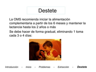 Destete
   La OMS recomienda iniciar la alimentación
   complementaria a partir de los 6 meses y mantener la
   lactancia hasta los 2 años o más
   Se debe hacer de forma gradual, eliminando 1 toma
   cada 3 o 4 días:




Introducción   -   Inicio   -   Problemas   -   Extracción   -   Destete
 