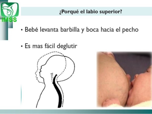 He aumentado el foro el miembro