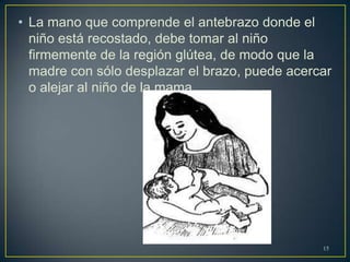 • La mano que comprende el antebrazo donde el
niño está recostado, debe tomar al niño
firmemente de la región glútea, de modo que la
madre con sólo desplazar el brazo, puede acercar
o alejar al niño de la mama.
15
 