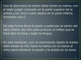 • Con la otra mano la madre debe tomar su mama, con
el dedo pulgar colocado en la parte superior de la
aréola y los otros cuatro dedos en la parte inferior,
formando una C.
•
• De esta forma lleva al pezón a estimular el centro del
labio inferior del niño para producir el reflejo que le
hará abrir la boca y bajar la lengua.
• En ese momento, con un movimiento rápido la madre
debe atraer al niño hacia la mama (no la mama al
niño) para introducir el pezón y la aréola en su boca.
17
 