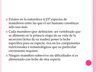  Existen en la naturaleza 4.237 especies de
mamíferos entre las que el ser humano constituye
sólo una más.
 Cada mamífero (por definición: ser vertebrado que
se alimenta en la primera etapa de su vida de la
secreción láctea de su madre) posee la leche
específica para su especie, rica en los componentes
nutricionales e inmunológicos que su particular
crecimiento requiere.
 Ningún mamífero sobrevive sin dificultades si es
alimentado con leche de otra especie.
 