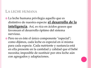 LA LECHE HUMANA
 La leche humana privilegia aquello que es
distintivo de nuestra especie: el desarrollo de la
inteligencia. Así, es rica en ácidos grasos que
favorecen el desarrollo óptimo del sistema
nervioso.
 Pero no es éste el único componente "especial";
como dijimos, cada leche es especial en sí misma
para cada especie. Cada nutriente y sustancia está
en ella presente en la cantidad y calidad que el bebé
necesita; imposible de sustituir por otra leche aún
con agregados y adaptaciones.
 