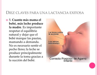DIEZ CLAVES PARA UNA LACTANCIA EXITOSA
 5. Cuanto más mama el
bebé, más leche produce
la madre. Es importante
respetar el equilibrio
natural y dejar que el
bebé marque las pautas,
mamando a demanda.
No es necesario sentir el
pecho lleno; la leche se
produce principalmente
durante la toma gracias a
la succión del bebé.
 