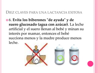 DIEZ CLAVES PARA UNA LACTANCIA EXITOSA
 6. Evita los biberones "de ayuda" y de
suero glucosado (agua con azúcar). La leche
artificial y el suero llenan al bebé y minan su
interés por mamar, entonces el bebé
succiona menos y la madre produce menos
leche.
 