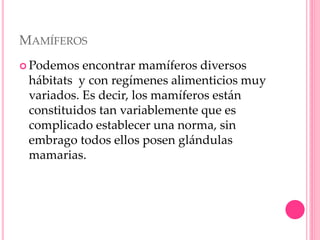 MAMÍFEROS
 Podemos encontrar mamíferos diversos
hábitats y con regímenes alimenticios muy
variados. Es decir, los mamíferos están
constituidos tan variablemente que es
complicado establecer una norma, sin
embrago todos ellos posen glándulas
mamarias.
 