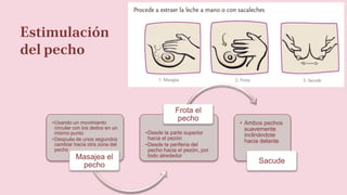 Estimulación
del pecho
•Usando un movimiento
circular con los dedos en un
mismo punto
•Después de unos segundos
cambiar hacia otra zona del
pecho
Masajea el
pecho
•Desde la parte superior
hacia el pezón
•Desde la periferia del
pecho hacia el pezón, por
todo alrededor
Frota el
pecho
• Ambos pechos
suavemente
inclinándote
hacia delante
Sacude
 