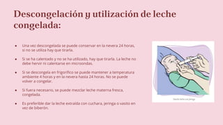 Descongelación y utilización de leche
congelada:
● Una vez descongelada se puede conservar en la nevera 24 horas,
si no se utiliza hay que tirarla.
● Si se ha calentado y no se ha utilizado, hay que tirarla. La leche no
debe hervir ni calentarse en microondas.
● Si se descongela en frigorífico se puede mantener a temperatura
ambiente 4 horas y en la nevera hasta 24 horas. No se puede
volver a congelar.
● Si fuera necesario, se puede mezclar leche materna fresca,
congelada.
● Es preferible dar la leche extraída con cuchara, jeringa o vasito en
vez de biberón.
 