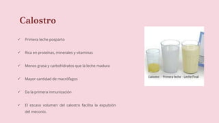 Calostro
 Primera leche posparto
 Rica en proteínas, minerales y vitaminas
 Menos grasa y carbohidratos que la leche madura
 Mayor cantidad de macrófagos
 Da la primera inmunización
 El escaso volumen del calostro facilita la expulsión
del meconio.
 
