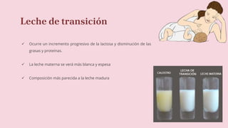 Leche de transición
 Ocurre un incremento progresivo de la lactosa y disminución de las
grasas y proteínas.
 La leche materna se verá más blanca y espesa
 Composición más parecida a la leche madura
 