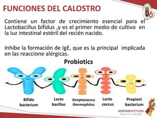 Lactancia Materna Actualización 2022 | PPTX