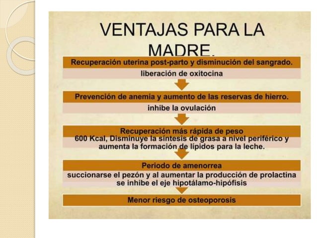 LACTANCIA MATERNA VENTAJAS Y DESVENTAJAS.pptx
