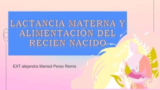 EXT alejandra Marisol Perez Remis
 