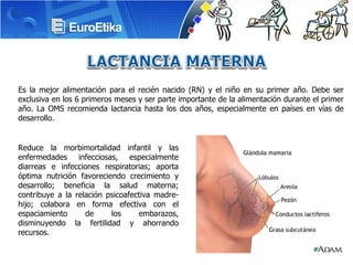 Es la mejor alimentación para el recién nacido (RN) y el niño en su primer año. Debe ser exclusiva en los 6 primeros meses y ser parte importante de la alimentación durante el primer año. La OMS recomienda lactancia hasta los dos años, especialmente en países en vías de desarrollo. Reduce la morbimortalidad infantil y las enfermedades infecciosas, especialmente diarreas e infecciones respiratorias; aporta óptima nutrición favoreciendo crecimiento y desarrollo; beneficia la salud materna; contribuye a la relación psicoafectiva madre-hijo; colabora en forma efectiva con el espaciamiento de los embarazos, disminuyendo la fertilidad y ahorrando recursos.