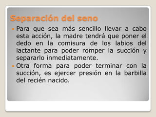 Inicio del amantamientoLa madre puede tocar el pezón para estimular, liberar leche y ayudar al lactante a orientarlo.Una vez que el lactante tenga la boca abierta, la madre lo debe acercar.Si hay congestión de los lóbulos, la madre puede sacar un poco de leche para ayudar el descenso.
