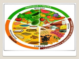 Eliminar los alimentos que tengas alguna respuesta en el recién nacido.Una taza de café al día es más que suficiente.La nicotina durante la lactancia se puede traducir en diarreas, inquietud y aceleración.
