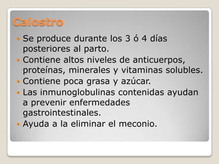 Calostro Se produce durante los 3 ó 4 días posteriores al parto.Contiene altos niveles de anticuerpos, proteínas, minerales y vitaminas solubles.Contiene poca grasa y azúcar.Las inmunoglobulinas contenidas ayudan a prevenir enfermedades gastrointestinales.Ayuda a la eliminar el meconio.