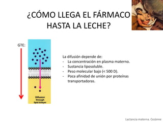 ¿CÓMO LLEGA EL FÁRMACO
HASTA LA LECHE?
GTE:
La difusión depende de:
- La concentración en plasma materno.
- Sustancia liposoluble.
- Peso molecular bajo (< 500 D).
- Poca afinidad de unión por proteínas
transportadoras.

Lactancia materna. Cezànne

 