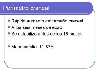 Perímetro craneal Rápido aumento del tamaño craneal A los seis meses de edad Se estabiliza antes de los 18 meses Macrocefalia: 11-87% 
