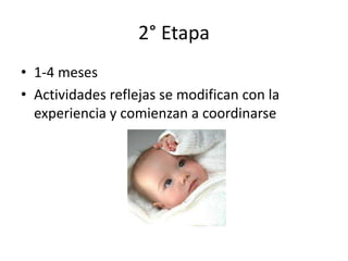 2° Etapa
• 1-4 meses
• Actividades reflejas se modifican con la
experiencia y comienzan a coordinarse