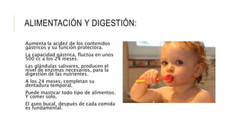 ALIMENTACIÓN Y DIGESTIÓN:
Aumenta la acidez de los contenidos
gástricos y su función protectora.
La capacidad gástrica, fluctúa en unos
500 cc a los 24 meses.
Las glándulas salivares, producen el
nivel de enzimas necesarios, para la
digestión de las nutrientes.
A los 24 meses, completan su
dentadura temporal.
Puede masticar todo tipo de alimentos.
Y comer solo.
El aseo bucal, después de cada comida
es fundamental.
 