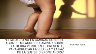 “EL MILAGRO NO ES CAMINAR SOBRE EL
AGUA. EL MILAGRO ES CAMINAR SOBRE
LA TIERRA VERDE EN EL PRESENTE,
PARA APRECIAR LA BELLEZA Y LA PAZ
DE LA QUE SE DISPONE AHORA”
Thich Nhat Hanh
 