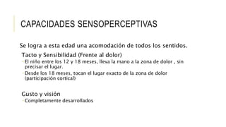 CAPACIDADES SENSOPERCEPTIVAS
Se logra a esta edad una acomodación de todos los sentidos.
Tacto y Sensibilidad (Frente al dolor)
 El niño entre los 12 y 18 meses, lleva la mano a la zona de dolor , sin
precisar el lugar.
 Desde los 18 meses, tocan el lugar exacto de la zona de dolor
(participación cortical)
Gusto y visión
 Completamente desarrollados
 