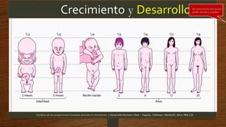 Crecimiento y Desarrollo-des (inversión de una acción)
-arrollo (envolver, enrollar)
Cambios de las proporciones humanas durante el crecimiento | Desarrollo Humano 12ed. – Papalia, Feldman, Martorell, 2012, PAG 115
 