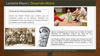 Lactante Mayor | Desarrollo Motriz
Hitos del desarrollo Motriz| Desarrollo Humano 12ed. – Papalia, Feldman, Martorell, 2012 – Pag. 129
Teoría de los sistemas dinámicos (TSD)
Teoría de Esther Thelen que sostiene que el
desarrollo motriz es un proceso dinámico de
coordinación activa de numerosos sistemas del niño
en relación con el medio ambiente.
Algunos investigadores han afirmado que los bebés de Yucatán
desarrollan las habilidades motrices más tarde que los
estadounidenses porque se les envuelve de manera rígida.
Sin embargo, los bebés navajos, también pasan envueltos casi todo
el día y empiezan a caminar aproximadamente al mismo tiempo
que otros bebés estadounidenses, lo que apuntaría a una
explicación hereditaria
 