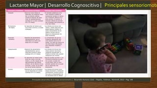 Lactante Mayor | Desarrollo Cognoscitivo | Principales sensoriomotr
Principales desarrollos de la etapa sensoriomotriz | Desarrollo Humano 12ed. – Papalia, Feldman, Martorell, 2012 – Pag. 148
 