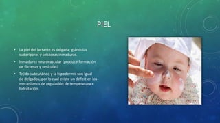 PIEL
• La piel del lactante es delgada; glándulas
sudoríparas y sebáceas inmaduras.
• Inmadurez neurovascular (produce formación
de flictenas y vesículas)
• Tejido subcutáneo y la hipodermis son igual
de delgados, por lo cual existe un déficit en los
mecanismos de regulación de temperatura e
hidratación.
 