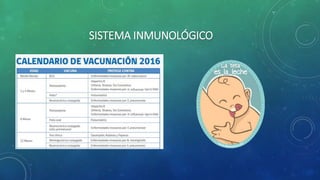 SISTEMA INMUNOLÓGICO
 