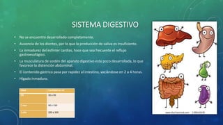 SISTEMA DIGESTIVO
• No se encuentra desarrollado completamente.
• Ausencia de los dientes, por lo que la producción de saliva es insuficiente.
• La inmadurez del esfínter cardias, hace que sea frecuente el reflujo
gastroesofágico.
• La musculatura de sostén del aparato digestivo esta poco desarrollada, lo que
favorece la distención abdominal.
• El contenido gástrico pasa por rapidez al intestino, vaciándose en 2 a 4 horas.
• Hígado inmaduro.
Edad Cantidad en ml
RN 30 a 90
1 mes 90 a 150
1 año 200 a 300
 