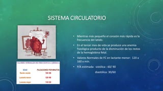 SISTEMA CIRCULATORIO
• Mientras más pequeño el corazón más rápida es la
frecuencia del latido.
• En el tercer mes de vida se produce una anemia
fisiológica producto de la disminución de los restos
de la hemoglobina fetal.
• Valores Normales de FC en lactante menor: 120 a
160 x mín.
• P/A estimada: sistólica : 60/ 90
diastólica: 30/60
 