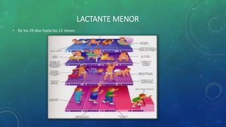 LACTANTE MENOR
• De los 29 días hasta los 12 meses.
 