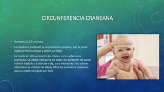 CIRCUNFERENCIA CRANEANA
• Aumenta 0,25 cm/mes.
• La medición es desde la prominencia occipital, por la parte
superior de las orejas y sobre las cejas.
• La medición del perímetro de cráneo o circunferencia
craneana (CC) debe realizarse en todos los controles de salud
infantil hasta los 3 años de vida, para interpretar los valores
obtenidos se utilizan las tablas OMS de perímetro craneano
para la edad corregido por talla
 