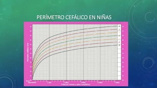 PERÍMETRO CEFÁLICO EN NIÑAS
 