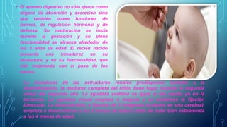 • El aparato digestivo no sólo ejerce como 
órgano de absorción y secreción sino 
que también posee funciones de 
barrera, de regulación hormonal y de 
defensa. Su maduración se inicia 
durante la gestación y su plena 
funcionalidad se alcanza alrededor de 
los 5 años de edad. El recién nacido 
presenta una inmadurez en su 
estructura, y en su funcionalidad, que 
irán mejorando con el paso de los 
meses. 
La inmadurez de las estructuras renales predisponen también a la 
deshidratación, la madurez completa del riñón tiene lugar durante la segunda 
mitad del segundo año. La agudeza auditiva es igual al del adulto ya en la 
lactancia. La agudeza visual empieza a mejorar y se establece la fijación 
binocular. La binoculardad, o fijación de 2 imágenes oculares en una cerebral, 
empieza a desarrollarse a los 6 meses de edad y debe de estar bien establecida 
a los 4 meses de edad. 
 