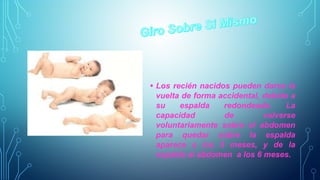 • Los recién nacidos pueden darse la 
vuelta de forma accidental, debido a 
su espalda redondeada. La 
capacidad de volverse 
voluntariamente sobre el abdomen 
para quedar sobre la espalda 
aparece a los 5 meses, y de la 
espalda al abdomen a los 6 meses. 
 
